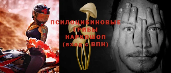 тгк Михайловск
