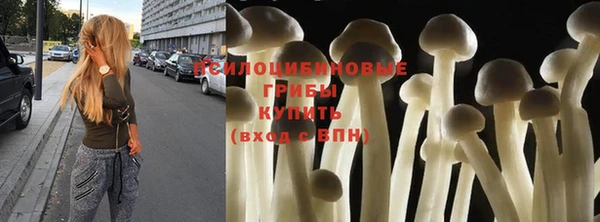 мяу мяу мука Медногорск