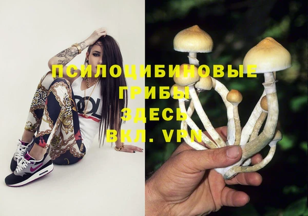 тгк Михайловск