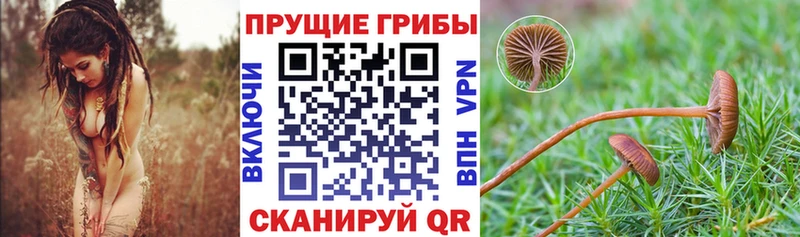 Галлюциногенные грибы мухоморы  Купить  Мичуринск 