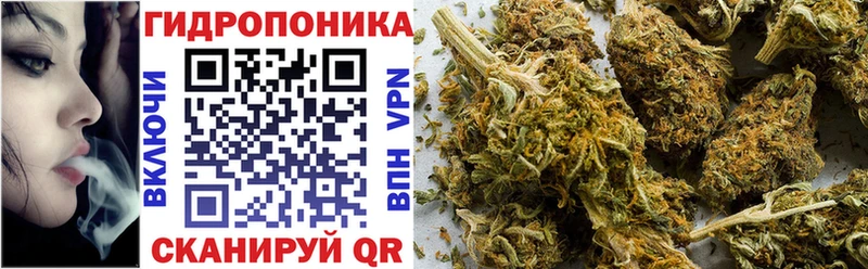Купить закладки  Мичуринск  Канабис White Widow 